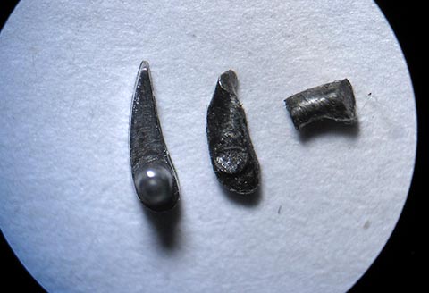 Links neben dem alten gebrochenen Sperrkegel liegt der neu gefertigte Sperrkegel für die Schnecke (Fusée). Antike Tischuhr mit Spindelhemmung.