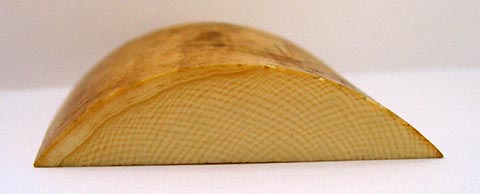 Anschnitt eines Elefantenstoßzahns (Elfenbein). Typische netzartige Struktur. Winkel der Linienstruktur 100–120°.