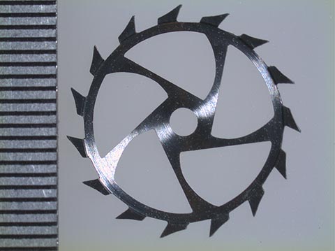 Chronometerrad, aufgenommen mit dem Stereomikroskop Olympus SZ 61.